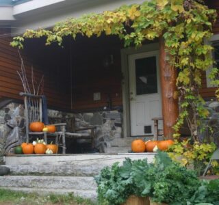 Mulching with Leaves Image